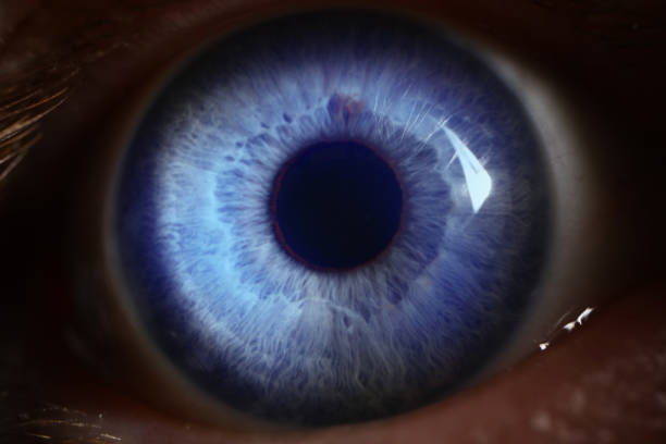 istock Human blue eye with light straight on it 1323496538