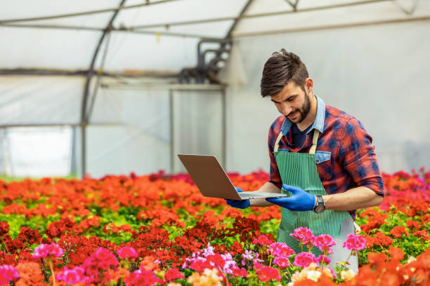 istock Young attractive man working at the plants nursery using laptop 1323496840