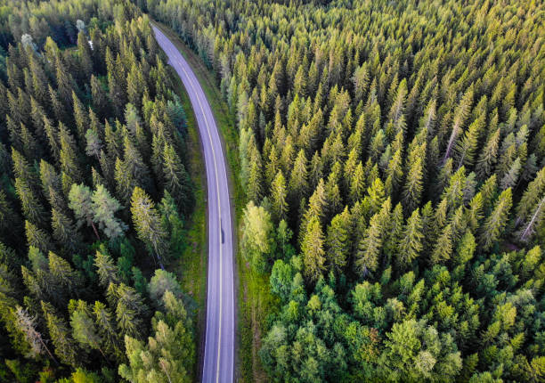 istock Finland nature forest wilderness road arial view 1323498099