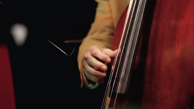 Band playing live concert:  jazz double bass player