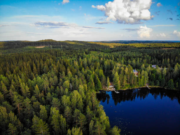 istock Finland nature forest wilderness road arial view 1323498206