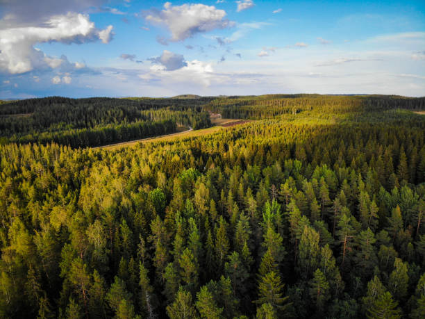 Finland nature forest wilderness road arial view stock photo