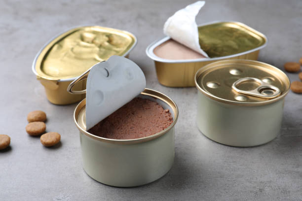 istock Wet and dry pet food on grey table 1323500953