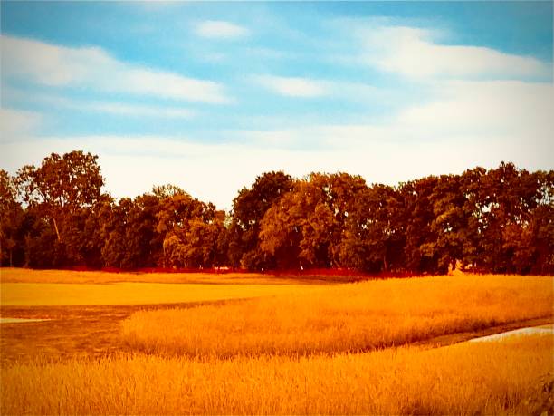 Landscape of German farm and countryside, in Baden-Wurttemberg Germany
