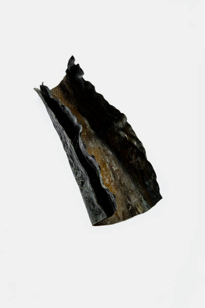 istock Kombu seaweed 1323502337