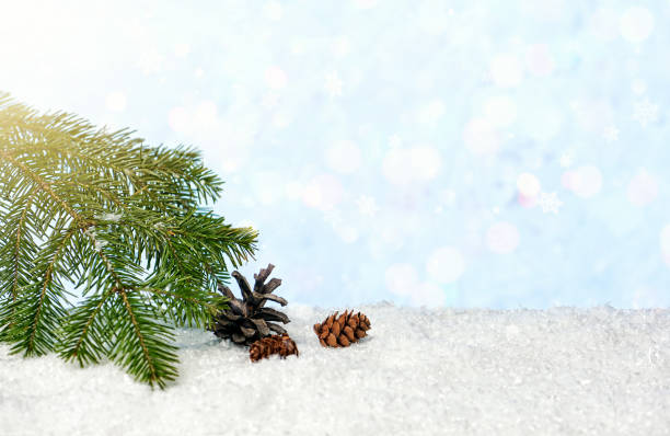 istock Cozy winter Christmas background with snow and decorative cones copy space. 1323503856