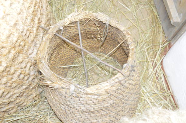 istock Old objects of urban and rural life 1323504586