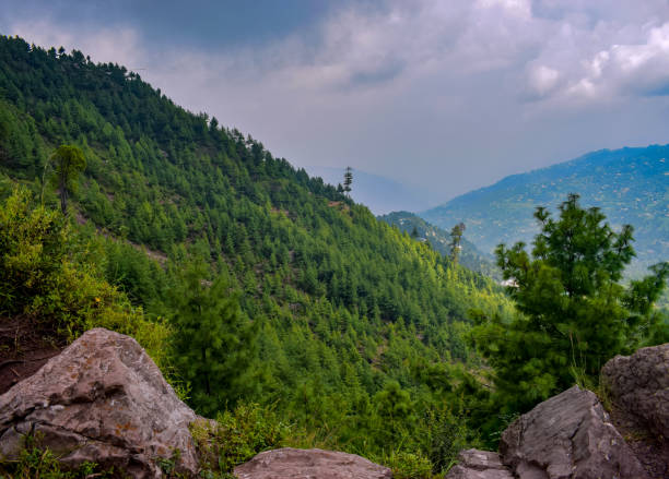istock Murree Hills Northern Pakistan 1323507575