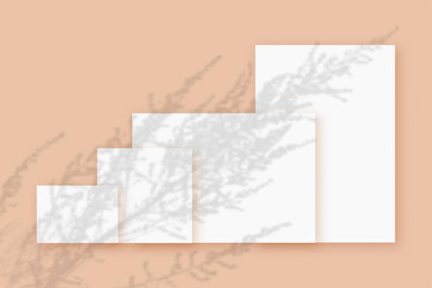 istock Mockup with plant shadows superimposed on several horizontal and vertical sheet of textured white paper on a beige table background 1323508267