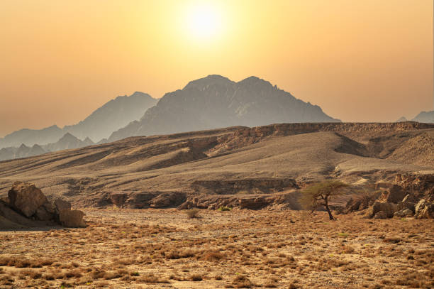 sinai mountains. mountains Sharm el Sheikh at the southern tip of the Sinai Peninsula. Desert with mountains. Sinai, Egypt. Magnificent Landscape sinai mountains. mountains Sharm el Sheikh at the southern tip of the Sinai Peninsula. Desert with mountains. Sinai, Egypt. Panorama Sand desert Sinai, Egypt mt sinai stock pictures, royalty-free photos & images