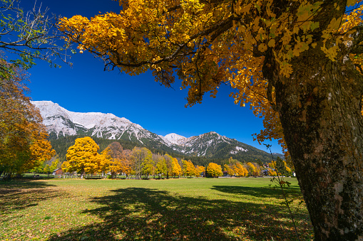 beautiful dachstein mountain in austria europe on sunny autumn day with clear blue sky and colorful trees