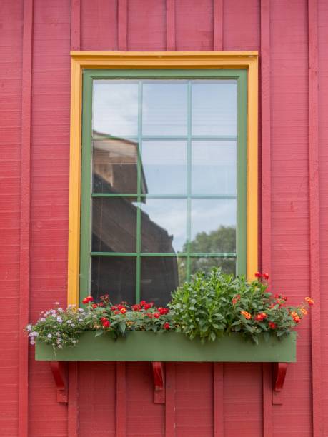 istock Window sill with flowers 1323516260