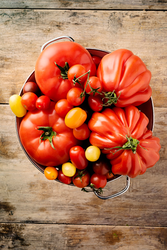 Overhead view of a selection of tomatoes in colander, containing; beefsteak, oxheart, cherry, plum and brown and yellow varieties as well. Vertical format with some copy space. Photographed against a rustic wooden background.