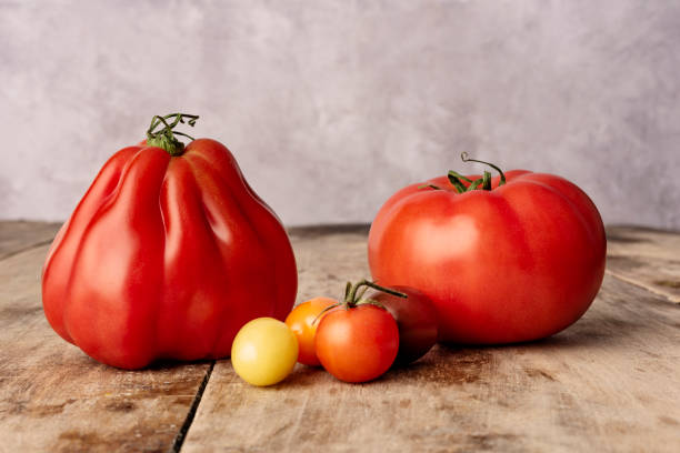 istock Selection of Beefsteak Heirloom Tomatoes 1323522230