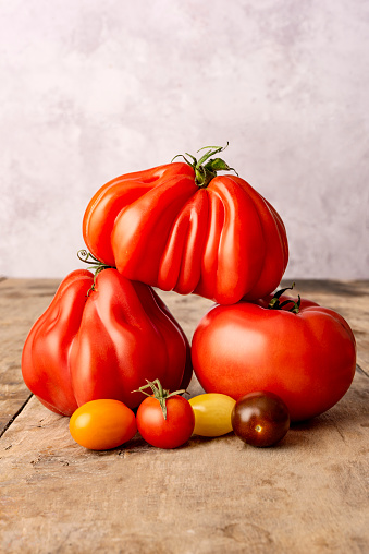 Still life of beefsteak and heirloom tomato varieties photographed on a rustic wooden table with a plaster effect background. Colour, vertical format with some copy space.