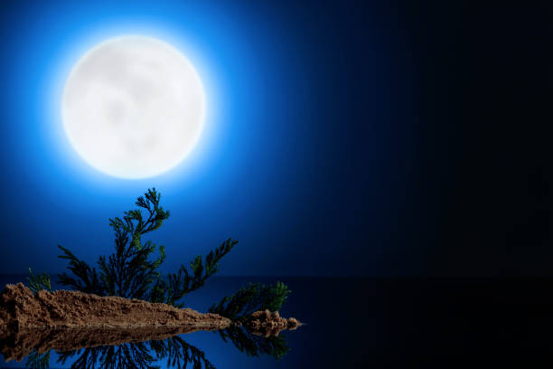 Artificial night landscape on the table with a sprig of juniper. Concept of the theme of vacation in the isolation. Copy space.