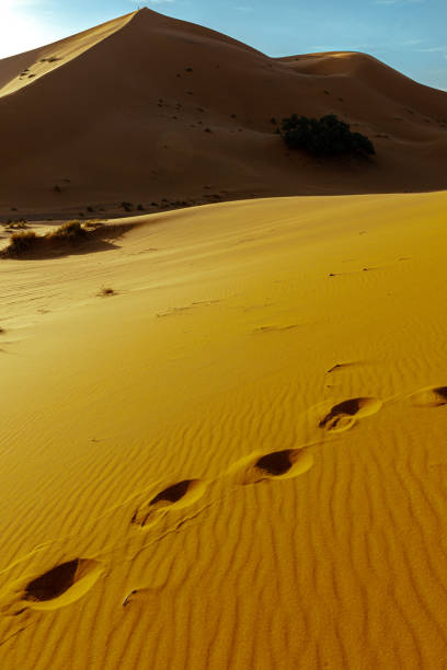 istock Abstract Erg Chebbi Desert, Evening Sun, Morocco, North Africa 1323530054