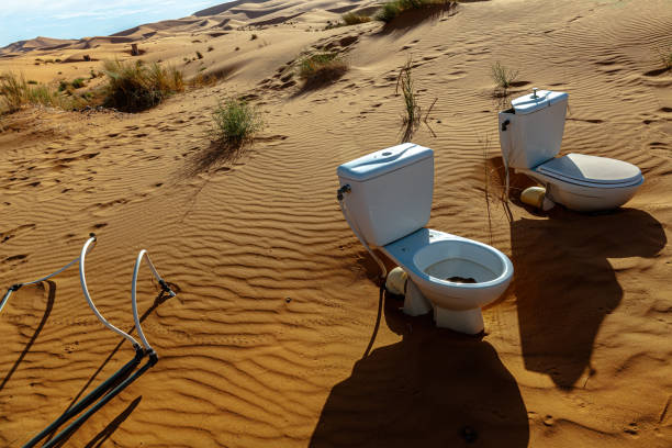 Tamanrasset, Tamanrasset, Algeria - November 13, 2011: Women are cleaning and washing clothes in the sahara desert