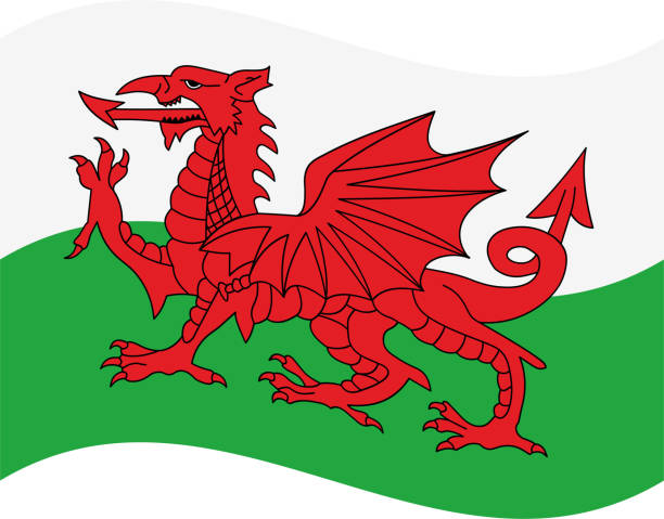 уэльс размахивая флагом - welsh flag stock illustrations