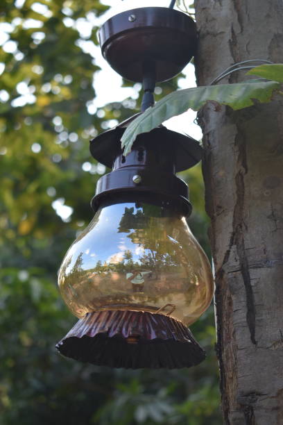 istock A lantern with colorful design hung on a tree 1323534690
