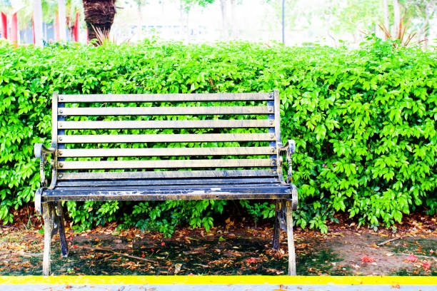 istock wooden bench set in green garden 1323534691