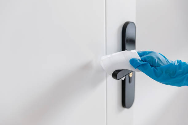 istock Wiping down door handle at home to protect against viruses and bacteria 1323538067