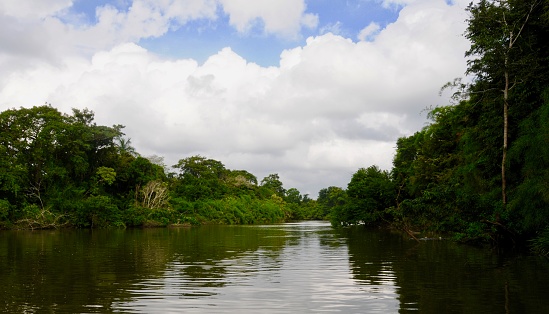 Wet forest and river in the Mesoamerican Biological Corridor tropical region.