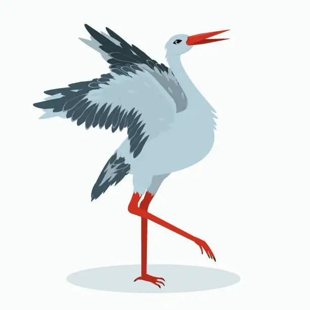 Vector illustration of vector illustration of a stork isolated on a white background