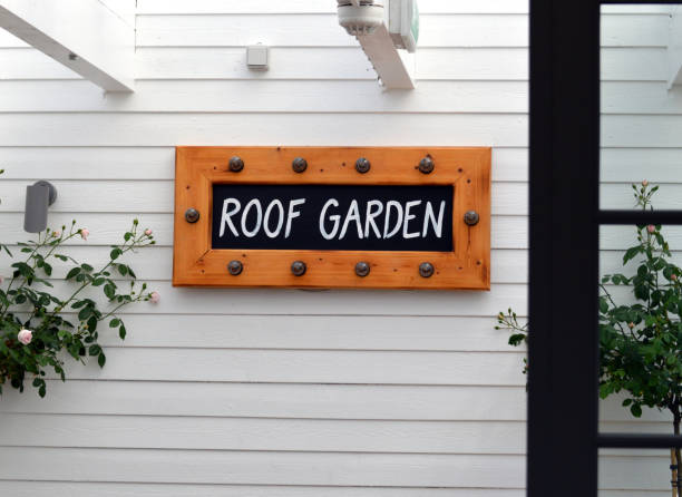 istock Roof garden Copenhagen 1323541988