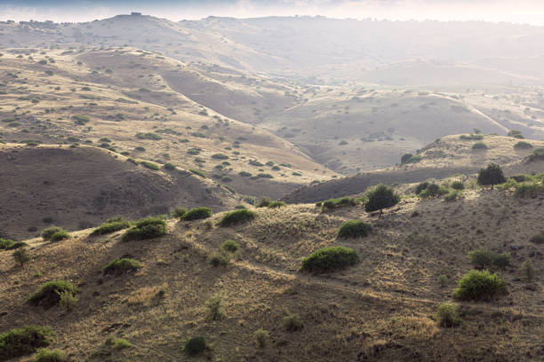 istock Morning in the hills near Ramot 1323543533