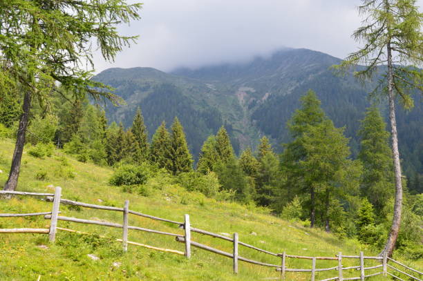 istock Beautiful landscape in Southtyrol 1323544595
