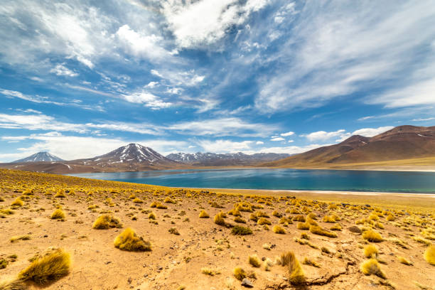 istock Miscanti Lagoon in the Atacama Desert, Chile 1323545076