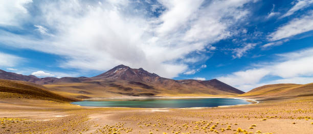 Miniques Lagoon in the Atacama Desert, Chile