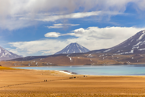 Miscanti Lagoon on the altiplano in the Atacama Desert in the Antofagasta region of northern Chile, South America