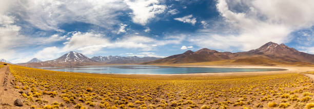 istock Miscanti Lagoon in the Atacama Desert, Chile 1323545182
