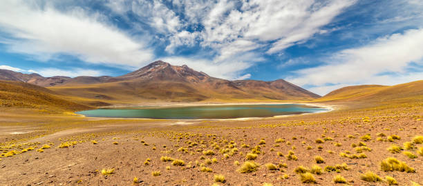istock Miniques Lagoon in the Atacama Desert, Chile 1323545316