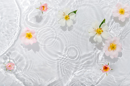 Greeting card with beautiful rose petals macro with drop floating on surface of the water close up. It can be used as background.\n\nFlat lay, top view, copy space concept.