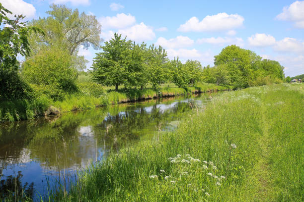 View over green meadow on small river Niers with reflection of trees in water in summer - Viersen (Suchteln), Germany View over green meadow on small river Niers with reflection of trees in water in summer - Viersen (Suchteln), Germany (lower rhine) grefrath stock pictures, royalty-free photos & images