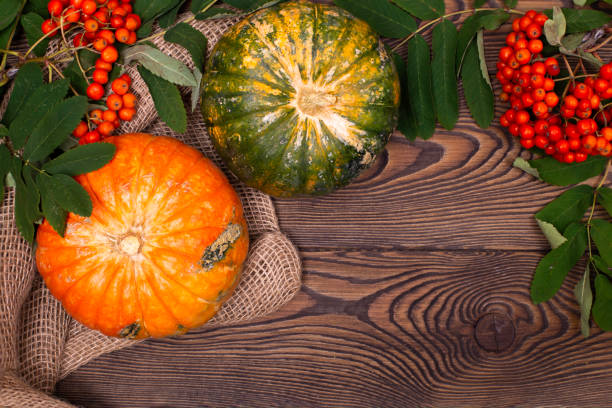 木の背景にミニカボチャと秋のローワンのトップビュー。ハッピー感謝祭と収穫の日 - autumn harvesting stationary life ストックフォトと画像