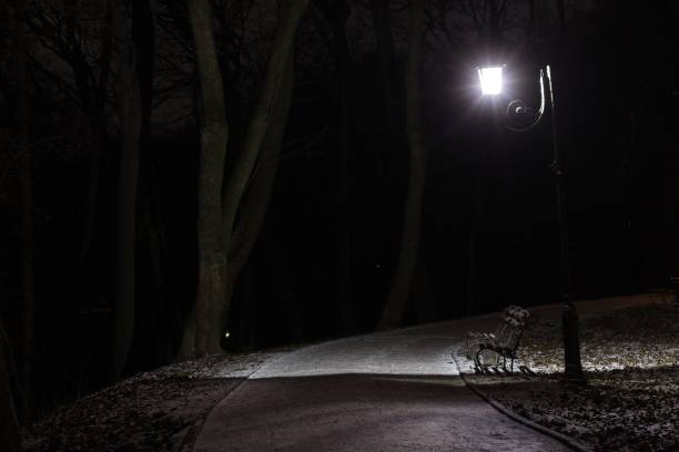 istock Lonely lantern in a dark night park 1323550098