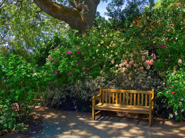 giardino pubblico della government house a victoria bc - landscaped spring canada footpath foto e immagini stock