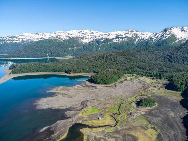 istock River delta in Conguillio National Park 1323552274