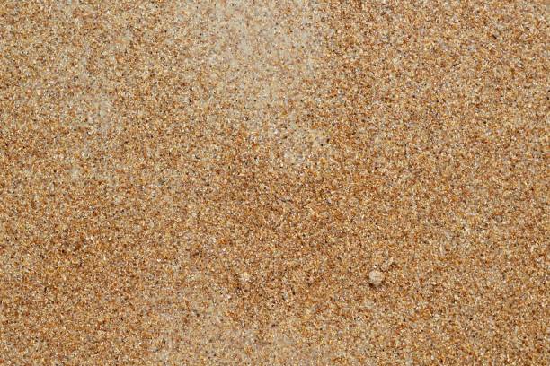 istock Sand of the Beach 1323553211