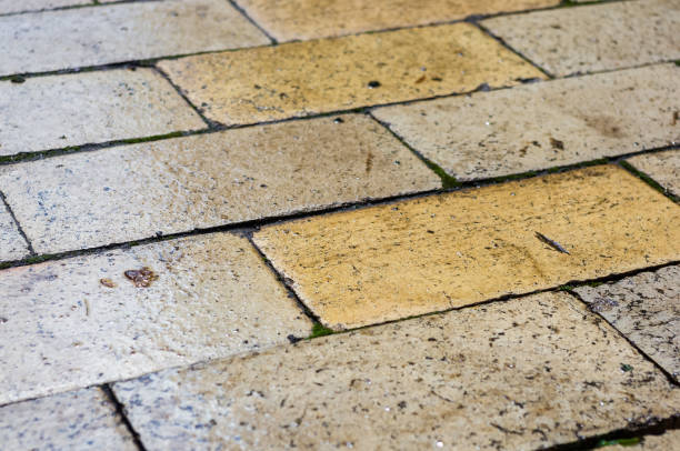 istock Wet paving slabs shine after rain, closeup 1323558203
