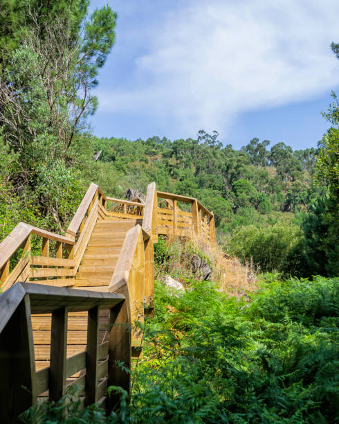 istock Mountain wooden hiking trail 1323558294