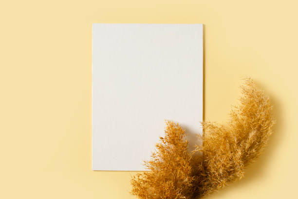 istock Pampas grass mock up and template minimalists composition with white poster on yellow background 1323558494