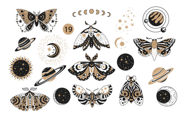 ilustrações, clipart, desenhos animados e ícones de conjunto de logotipo de vetor decorativo boêmio boho borboleta. - moth