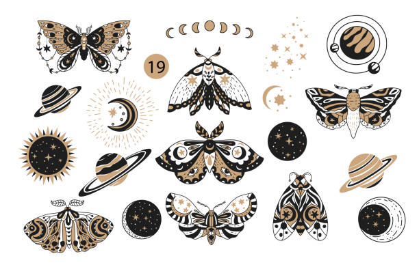 Bohemian boho butterfly decorative vector logo set. Bohemian boho butterfly decorative vector logo set. Moth wildlife alchemy icon symbol, tattoo graphic shape design, ethnic sketch. moth stock illustrations