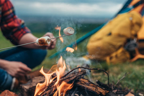 istock Campers holding marshmallows on a stick above the camp fire 1323563665