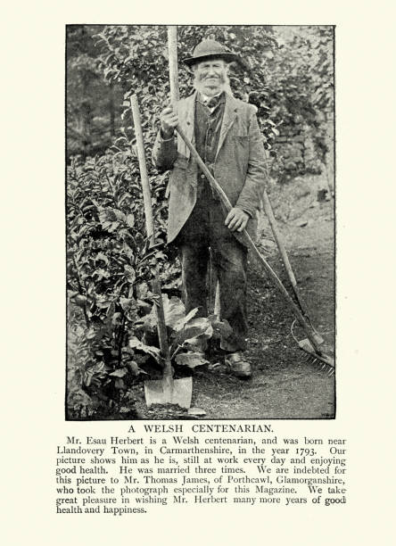 Esau Herbert, Welsh Centenarian, Victorian 19th Century, Gardener Vintage photograph, Esau Herbert, Welsh Centenarian, Victorian 19th Century, Gardener over 100 photos stock pictures, royalty-free photos & images